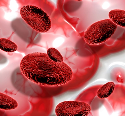 L-Arginine HCL amino acid ingredient used in BloodPril